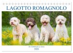 Lagotto Romagnolo - Der Trüffelhund aus Italien (Tischkalender 2026 DIN A5 quer), CALVENDO Monatskalender