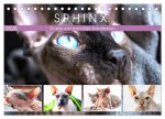 Sphinx. Grazile und anmutige Nacktkatzen (Tischkalender 2026 DIN A5 quer), CALVENDO Monatskalender