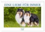 Eine Liebe für immer - Collies (Wandkalender 2026 DIN A4 quer), CALVENDO Monatskalender