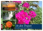 In den Tropen - Ein Blick in die tropische Klimazone (Tischkalender 2026 DIN A5 quer), CALVENDO Monatskalender