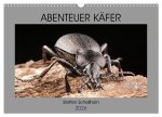 ABENTEUER KÄFER (Wandkalender 2026 DIN A3 quer), CALVENDO Monatskalender