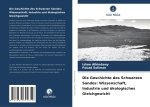 Die Geschichte des Schwarzen Sandes: Wissenschaft, Industrie und ökologisches Gleichgewicht