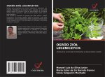OGRÓD ZIÓ? LECZNICZYCH: