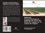 Méthodes d'échantillonnage et piégeage de masse des thrips de l'oignon sur la culture de l'oignon