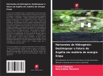 Horizontes do Hidrogénio: Desbloquear o futuro da Argélia em matéria de energia limpa