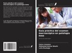 Guía práctica del examen macroscópico en patología ósea