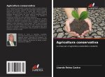 Agricoltura conservativa