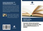 Soziale Determinanten der Inanspruchnahme des Gesundheitswesens in Dubai