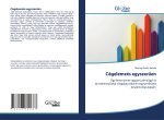 Cégelemzés egyszer?en