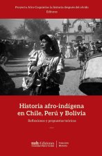 Historia afro-indígena en Chile, Perú y Bolivia