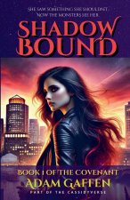 Shadow Bound