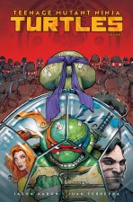 Teenage Mutant Ninja Turtles, Vol. 2: NYC vs. Tmnt