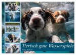 Tierisch gute Wasserspiele (Wandkalender 2026 DIN A2 quer), CALVENDO Monatskalender