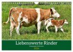 Liebenswerte Rinder (Wandkalender 2026 DIN A4 quer), CALVENDO Monatskalender