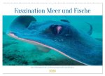 Faszination Meer und Fische (Wandkalender 2026 DIN A2 quer), CALVENDO Monatskalender