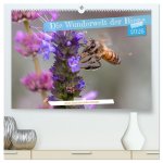 Die Wunderwelt der Biene (hochwertiger Premium Wandkalender 2026 DIN A2 quer), Kunstdruck in Hochglanz