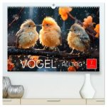Vögel Alltag (hochwertiger Premium Wandkalender 2026 DIN A2 quer), Kunstdruck in Hochglanz