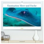 Faszination Meer und Fische (hochwertiger Premium Wandkalender 2026 DIN A2 quer), Kunstdruck in Hochglanz