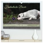 Fantastische Boxer - Sieger der Herzen (hochwertiger Premium Wandkalender 2026 DIN A2 quer), Kunstdruck in Hochglanz