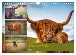 Mutterkühe (Wandkalender 2026 DIN A4 quer), CALVENDO Monatskalender