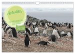 Antarktis Auf der Entdeckung ihrer Tierwelt (Wandkalender 2026 DIN A4 quer), CALVENDO Monatskalender