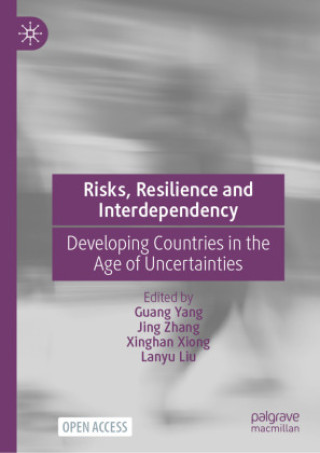 Risks, Resilience and Interdependency