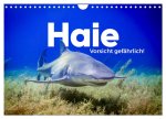 Haie - Vorsicht gefährlich! (Wandkalender 2026 DIN A4 quer), CALVENDO Monatskalender