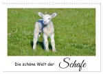 Die schöne Welt der Schafe (Wandkalender 2026 DIN A3 quer), CALVENDO Monatskalender