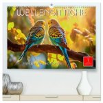 Wellensittiche farbenfroh und munter (hochwertiger Premium Wandkalender 2026 DIN A2 quer), Kunstdruck in Hochglanz