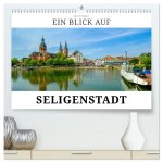 Ein Blick auf Seligenstadt (hochwertiger Premium Wandkalender 2026 DIN A2 quer), Kunstdruck in Hochglanz