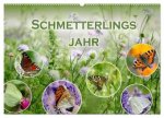 Schmetterlingsjahr (Wandkalender 2026 DIN A2 quer), CALVENDO Monatskalender