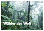 Wälder der Welt (Wandkalender 2026 DIN A4 quer), CALVENDO Monatskalender