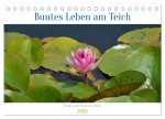Buntes Leben am Teich (Tischkalender 2026 DIN A5 quer), CALVENDO Monatskalender