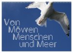 Von Möwen, Menschen und Meer (Wandkalender 2026 DIN A3 quer), CALVENDO Monatskalender