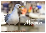 Strand und Küste - Möwen (Wandkalender 2026 DIN A4 quer), CALVENDO Monatskalender