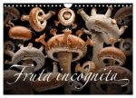 Fruta incognita - Die wundersame Welt des Fotografen Olaf Bruhn (Wandkalender 2026 DIN A4 quer), CALVENDO Monatskalender