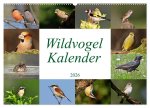 Wildvogelkalender (Wandkalender 2026 DIN A2 quer), CALVENDO Monatskalender