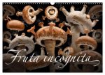 Fruta incognita - Die wundersame Welt des Fotografen Olaf Bruhn (Wandkalender 2026 DIN A3 quer), CALVENDO Monatskalender