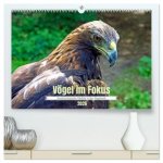 Vögel im Fokus - Ausdrucksstarke Vielfalt in der Vogelwelt (hochwertiger Premium Wandkalender 2026 DIN A2 quer), Kunstdruck in Hochglanz
