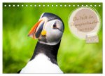 Die Welt der Papageientaucher - Islands Wildvögel (Tischkalender 2026 DIN A5 quer), CALVENDO Monatskalender