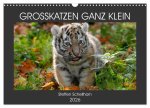 GROSSKATZEN GANZ KLEIN (Wandkalender 2026 DIN A3 quer), CALVENDO Monatskalender
