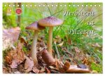 Herbstzeit ist Pilzezeit (Tischkalender 2026 DIN A5 quer), CALVENDO Monatskalender