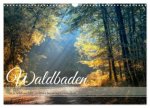 Waldbaden - Durch Achtsamkeit zu einer besseren Gesundheit (Wandkalender 2026 DIN A3 quer), CALVENDO Monatskalender