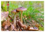 Herbstzeit ist Pilzezeit (Wandkalender 2026 DIN A2 quer), CALVENDO Monatskalender