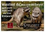 Spruchreif - Gute-Laune-Kalender (Wandkalender 2026 DIN A2 quer), CALVENDO Monatskalender