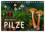 Pilze - kleine Giganten (Tischkalender 2026 DIN A5 quer), CALVENDO Monatskalender