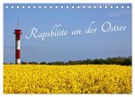 Rapsblüte an der Ostsee (Tischkalender 2026 DIN A5 quer), CALVENDO Monatskalender