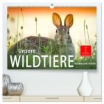 Unsere Wildtiere - scheu und schön (hochwertiger Premium Wandkalender 2026 DIN A2 quer), Kunstdruck in Hochglanz