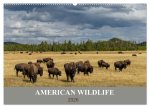 American Wildlife (Wandkalender 2026 DIN A2 quer), CALVENDO Monatskalender