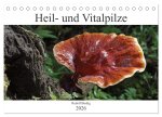 Heil- und Vitalpilze (Tischkalender 2026 DIN A5 quer), CALVENDO Monatskalender